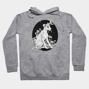 Night gardener Hoodie